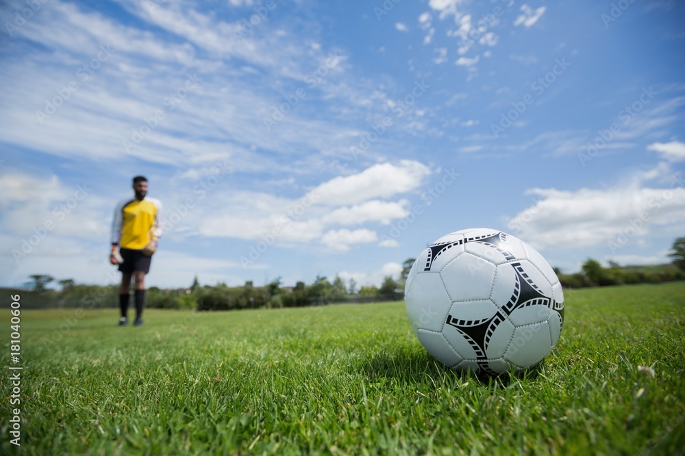 Obraz premium Goalkeeper ready to kick the soccer ball