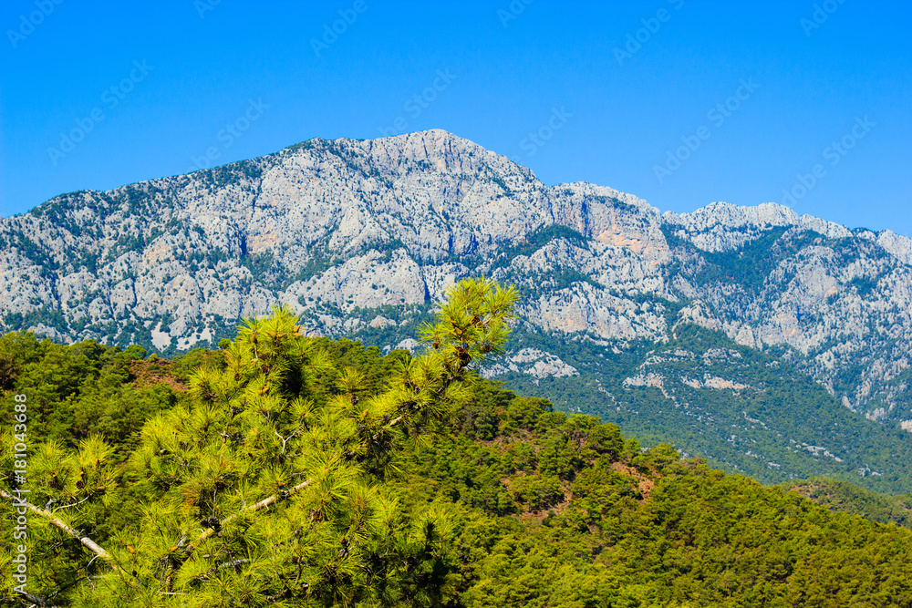 A mountain near Kemer, Turkey, vew from a hill, a pine branch in the foreground