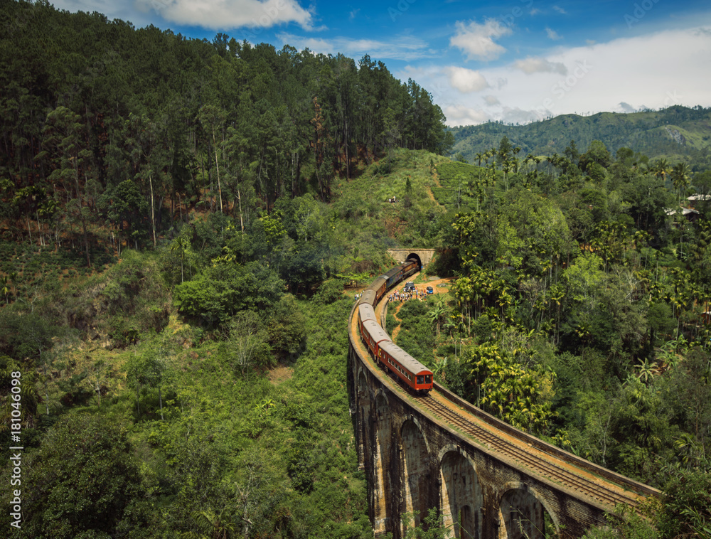 A train passing over the Nine Arch Bridge, in Ella, Sri Lanka