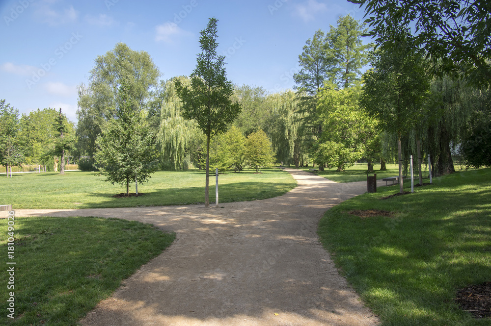 Public park during summer, green nature, trees shadows, greenery, wooden bench