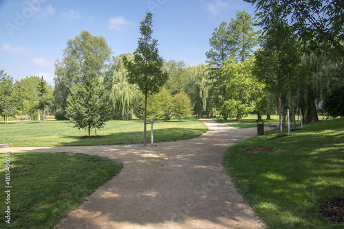 Fototapeta Naklejka Na Ścianę i Meble -  Public park during summer, green nature, trees shadows, greenery, wooden bench
