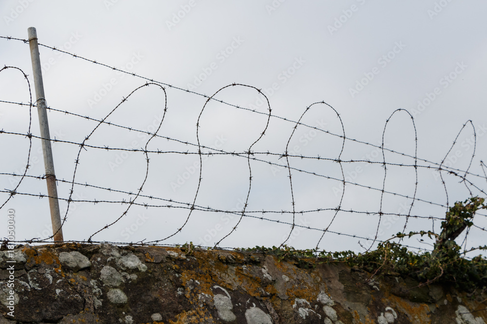 Fils de fer barbelés sur un mur Fils de fer barbelés sur un mur