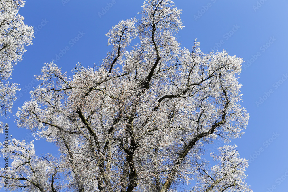 Sonnenfänger Sonnenfänger
