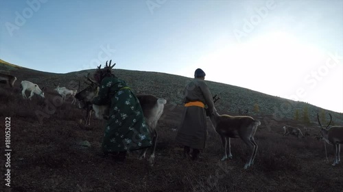 tsaatan couple with their reindeer in a nature of Northern Mongolia