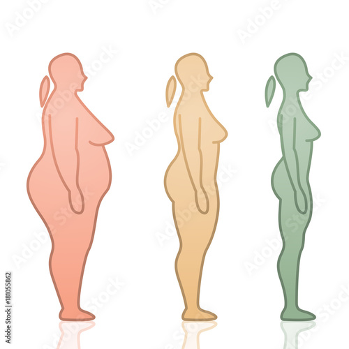 Fat to Skinny Female Silhouettes