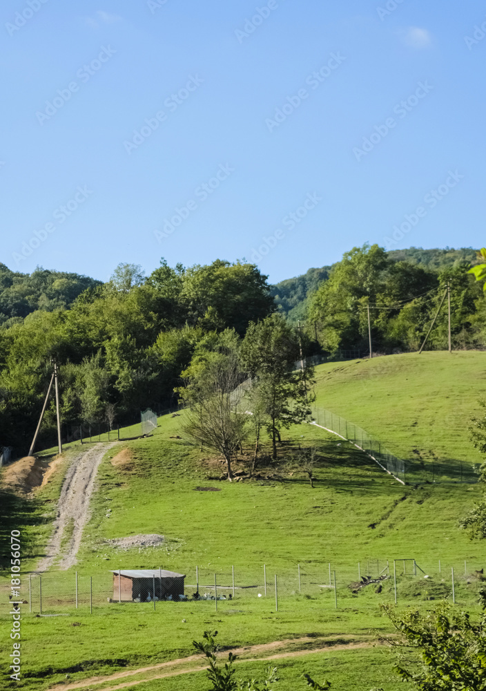 Interesting landscape, interesting trees on the background of a big green mountain, a single building, roads to nowhere, a beautiful natural view, lots of light and heat Interesting landscape, interesting trees on the background of a big green mountain, a single building, roads to nowhere, a beautiful natural view, lots of light and heat
