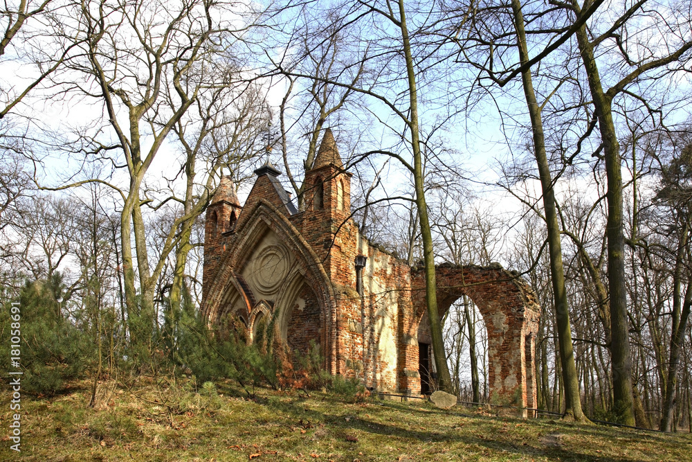 Ruins of Gothic house in Arkadia park. Lowicz county. Poland