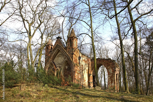 Obraz na płótnie Ruins of Gothic house in Arkadia park. Lowicz county. Poland w salonie