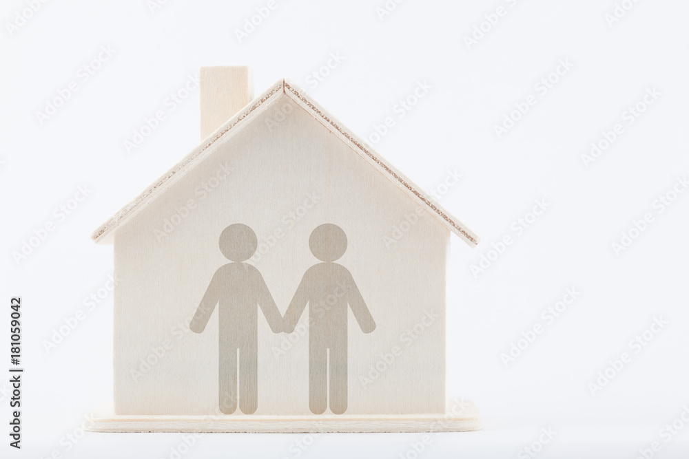 Family diversity concept: Two men couple at home Family diversity concept: Two men couple at home