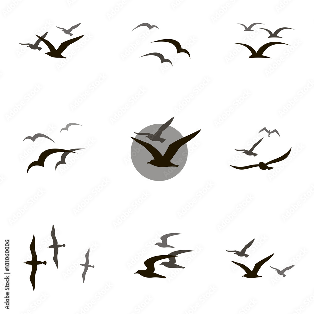 Obraz premium zbiór czarne sylwetki latające mewa na białym tle