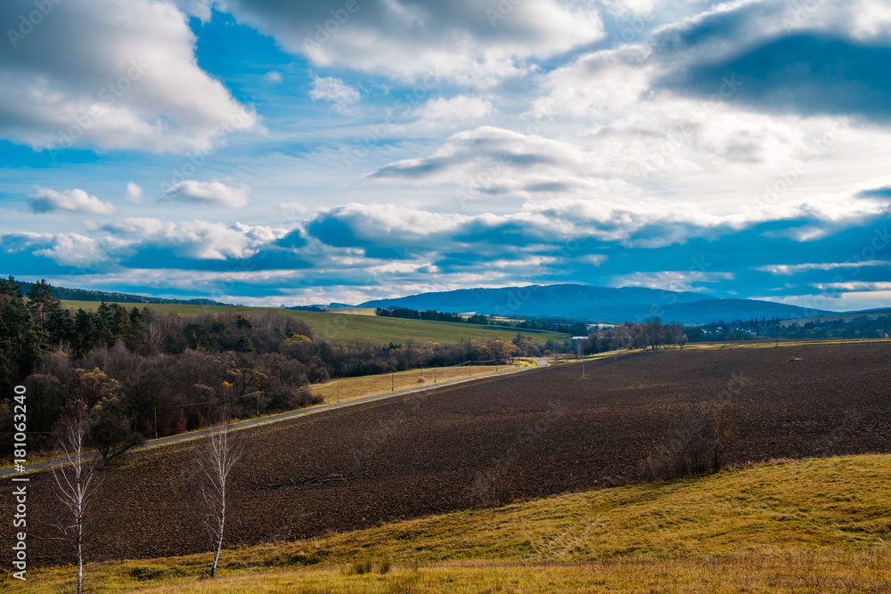 Fototapeta premium trees on a field in autumn nature landscape