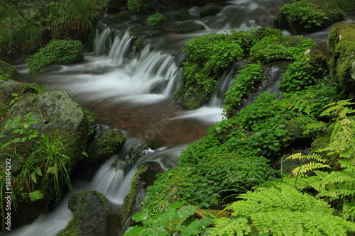 胴腹滝（どうはらたき）山形県遊佐町　Doharataki mountain spring water / Yuzamachi, Yamagata, Japan