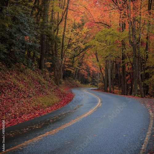 Fall Road  Great Smoky Mountains