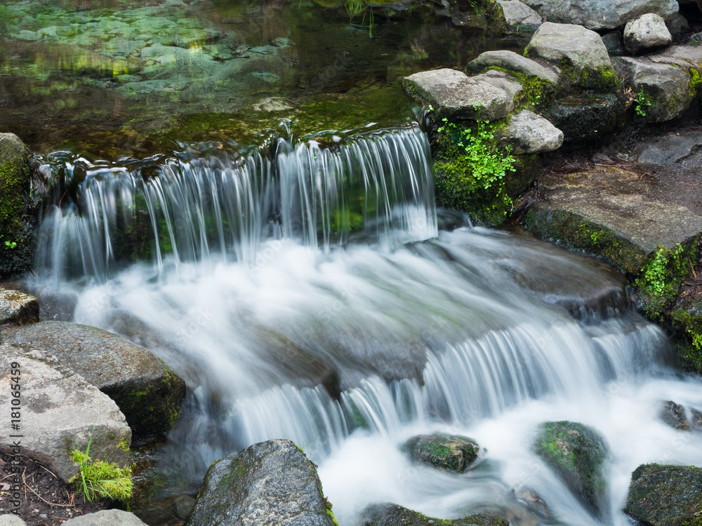 Obraz premium Fern Spring Yosemite Valley