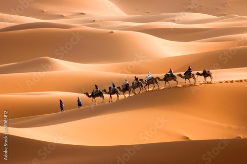 Fényképezés Camel caravan to right