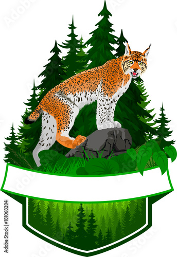 vector woodland emblem with lynx