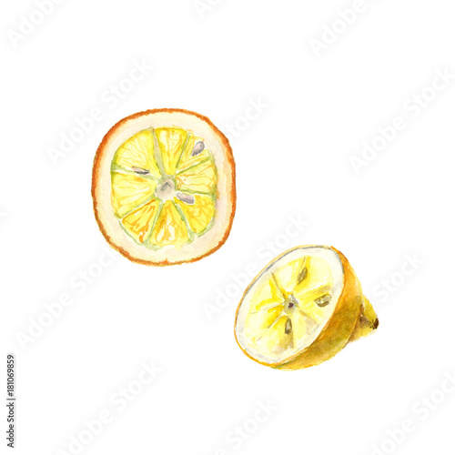 Watercolor illustration of cut lemon on white