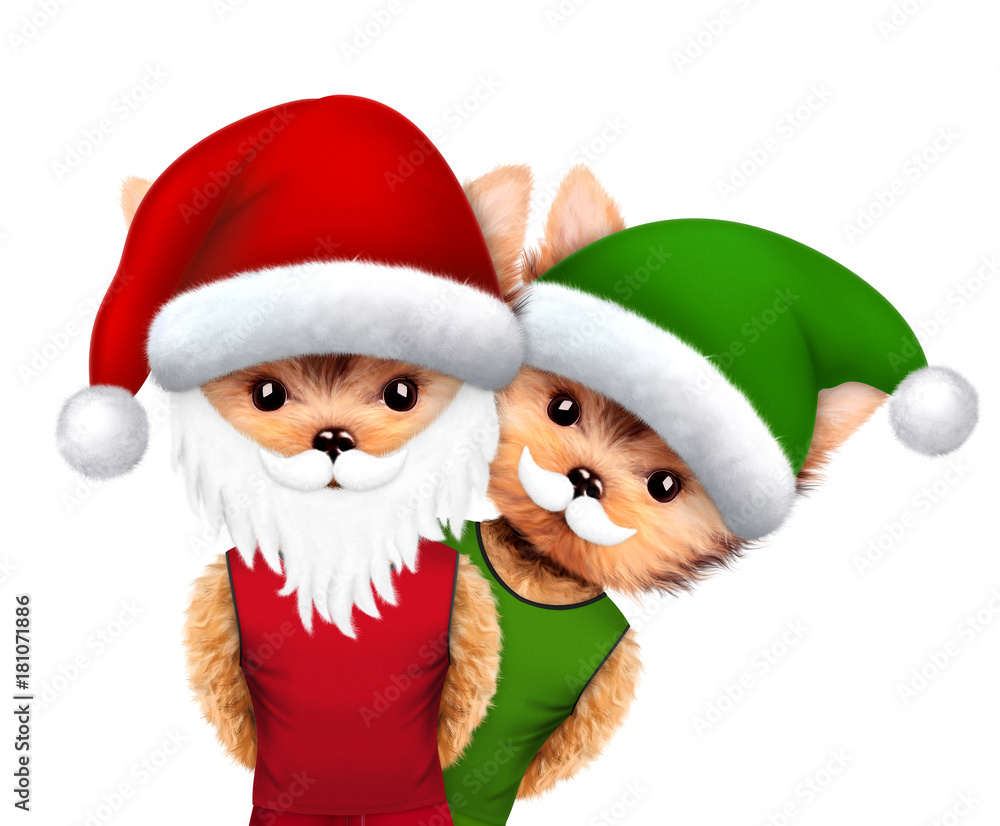 Funny Dog Santa and Elf. Christmas concept Funny Dog Santa and Elf. Christmas concept