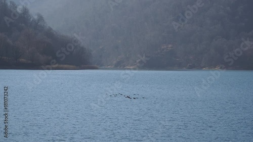 Lake Goygol – Azerbaijan – forest water and sky in landscape video photo