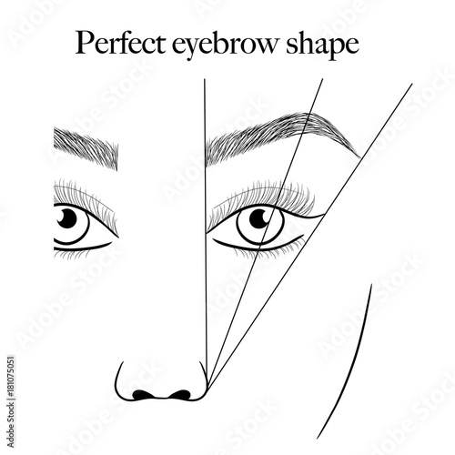 eyebrows scheme vector illustration