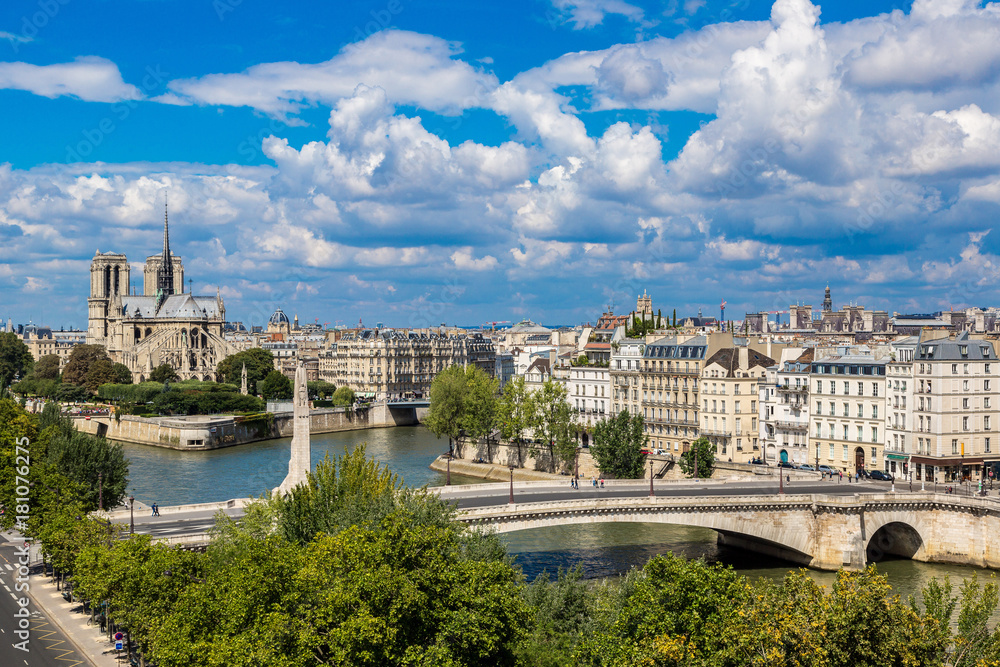 Fototapeta premium Seine and Notre Dame de Paris