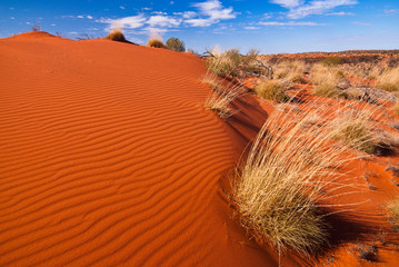 Crédence de cuisine Rouge Red sand dunes and desert vegetation in central Australia  © greenantphoto