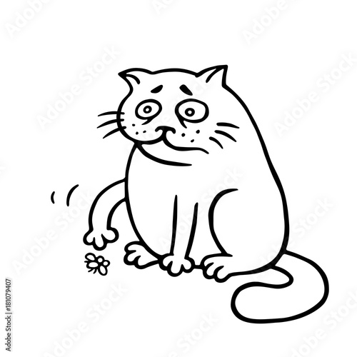 Cat sits and grimly pushes the dead fly. Vector Illustration.