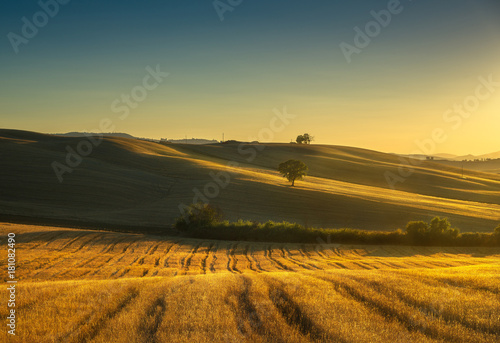 Tuscany countryside panorama, fields and trees on sunset. Italy