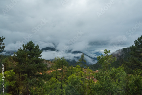 mountain slope in lying cloud with the evergreen conifers shrouded in mist in a scenic landscape view