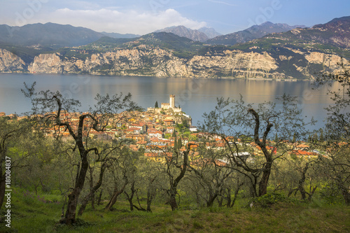 Olive grove and medieval village of Malcesine and the Scaligero castle, Garda lake, Verona, Veneto, Italy photo