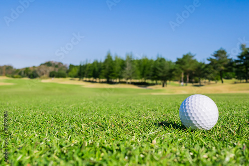 Golf Course with Golf Ball on fairway field. Golf is a sport to play on the turf 