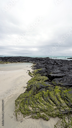 Lava has flown all the way to sea in Isabela Island, Galapagos photo