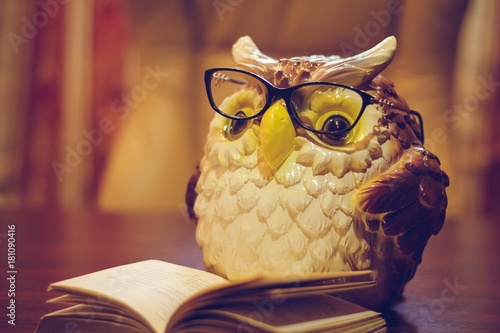 Statuette of an owl in glasses