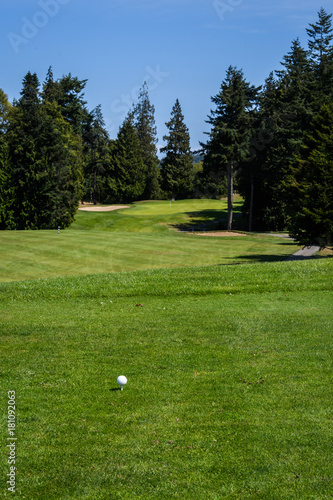 Golf ball and tee on the tee box and fairway with the green, sand traps, trees and sky in the background 