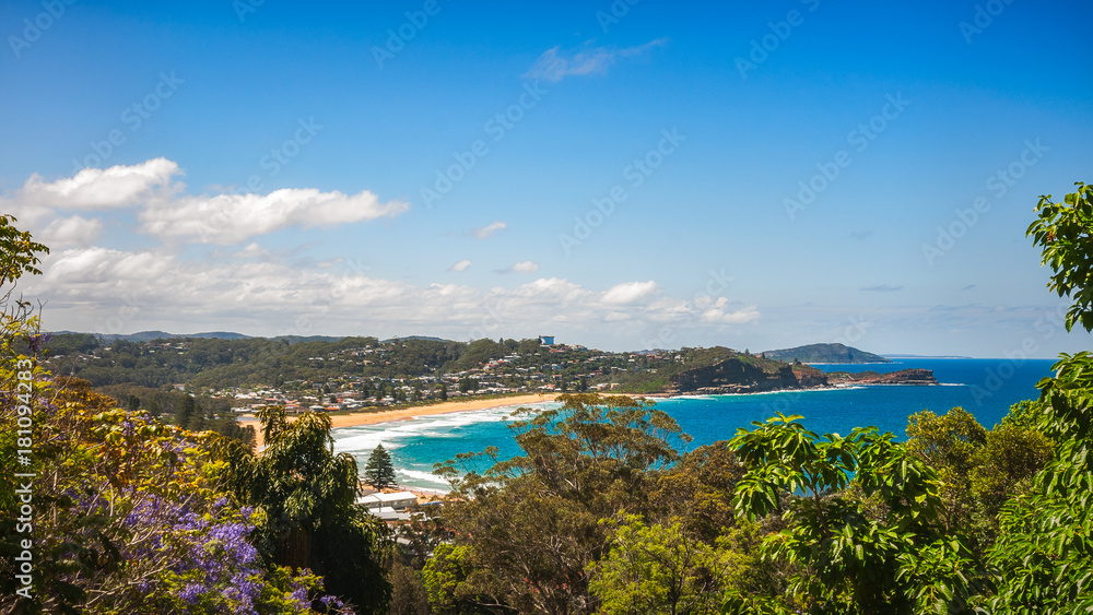 Fototapeta premium Avoca Beach -View from above in between trees on a beautiful sunny day on the Central Coast, NSW, Australia.