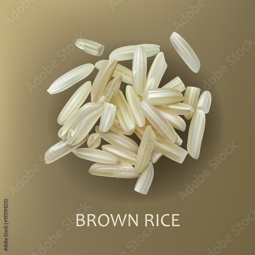 Grains of brown long grain rice, isolated on a brown background, realistic vector. Healthy diet, vegetarian food, design element