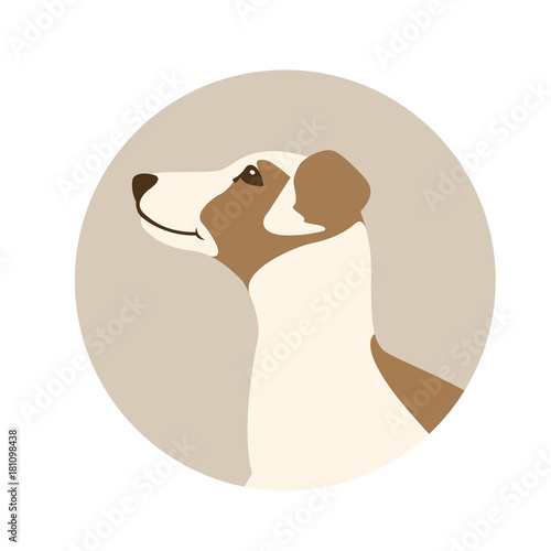 jack russell terrier puppy vector illustration flat