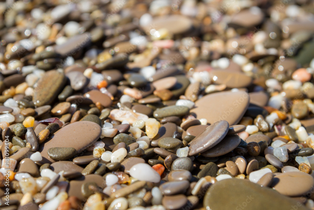 Sea stones on the seashore in the summer Sea stones on the seashore in the summer