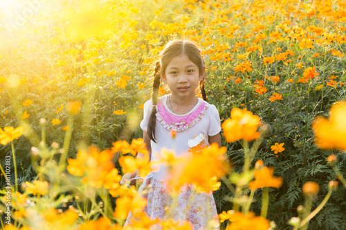 The little girl in the field of pink cosmos flower  Cosmos Bipinnatus  at sunlight in the morning