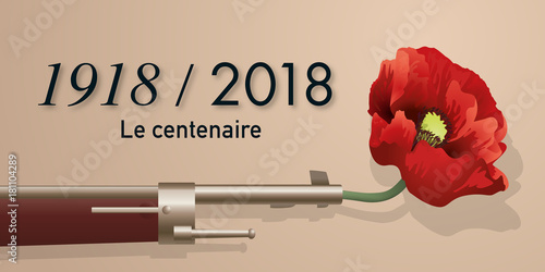 guerre mondiale - grande guerre - centenaire - guerre 14-18 - fusil - armistice - coquelicot