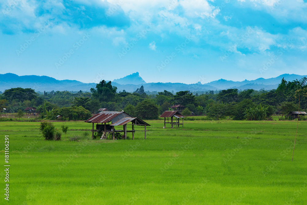 landscape in thai of asian