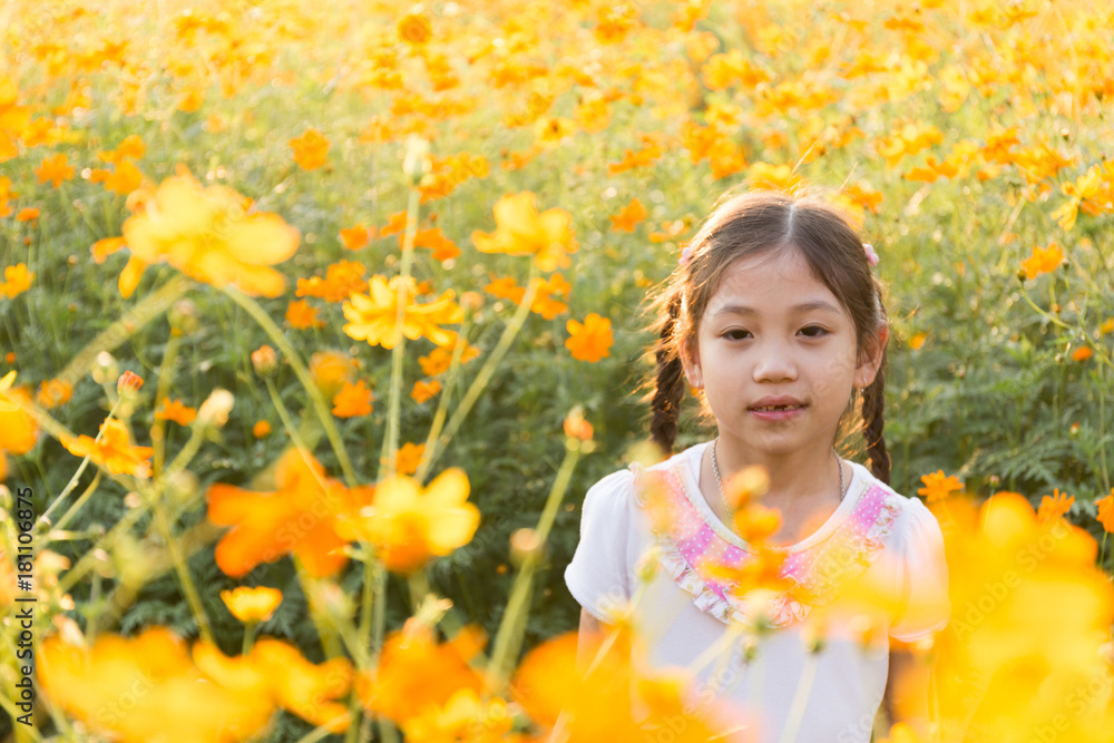The little girl in the field of cosmos yellow flowers at sunlight in the morning The little girl in the field of cosmos yellow flowers at sunlight in the morning