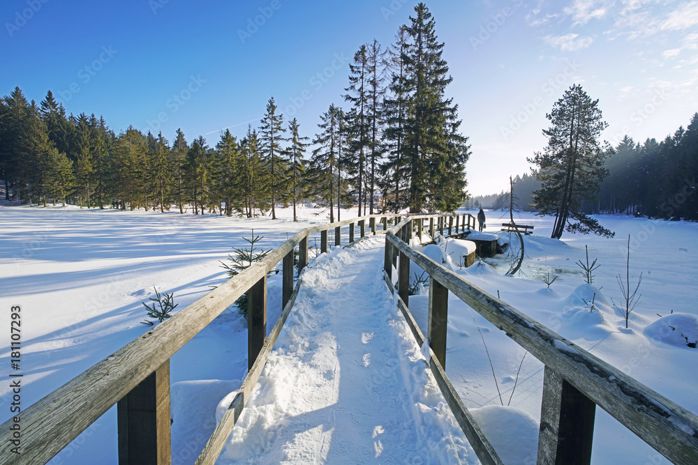 Obraz premium Winterlandschaft