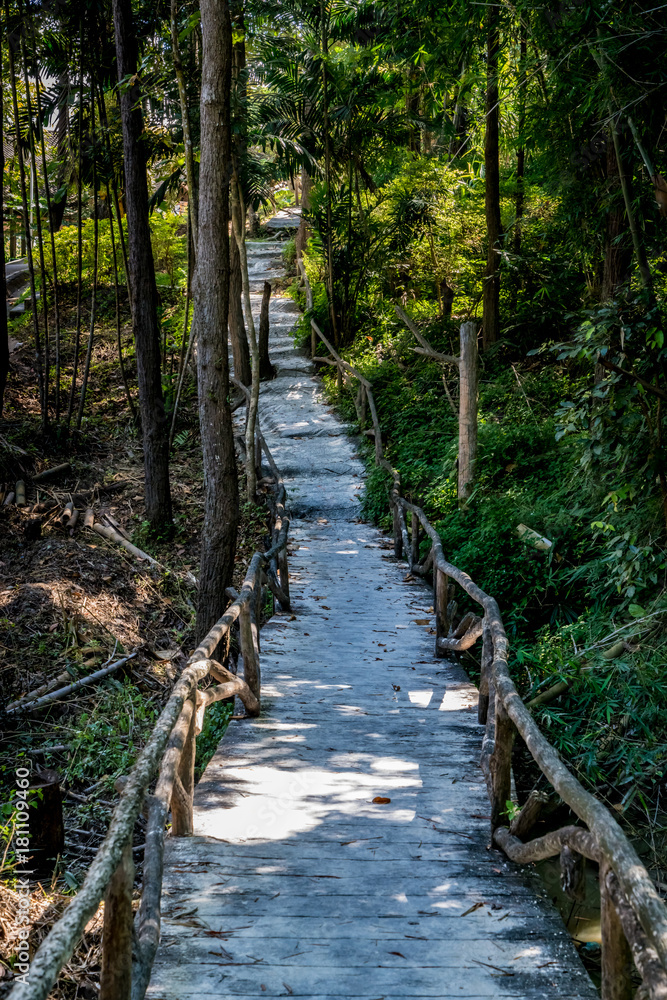 Fototapeta premium Concrete Pathway