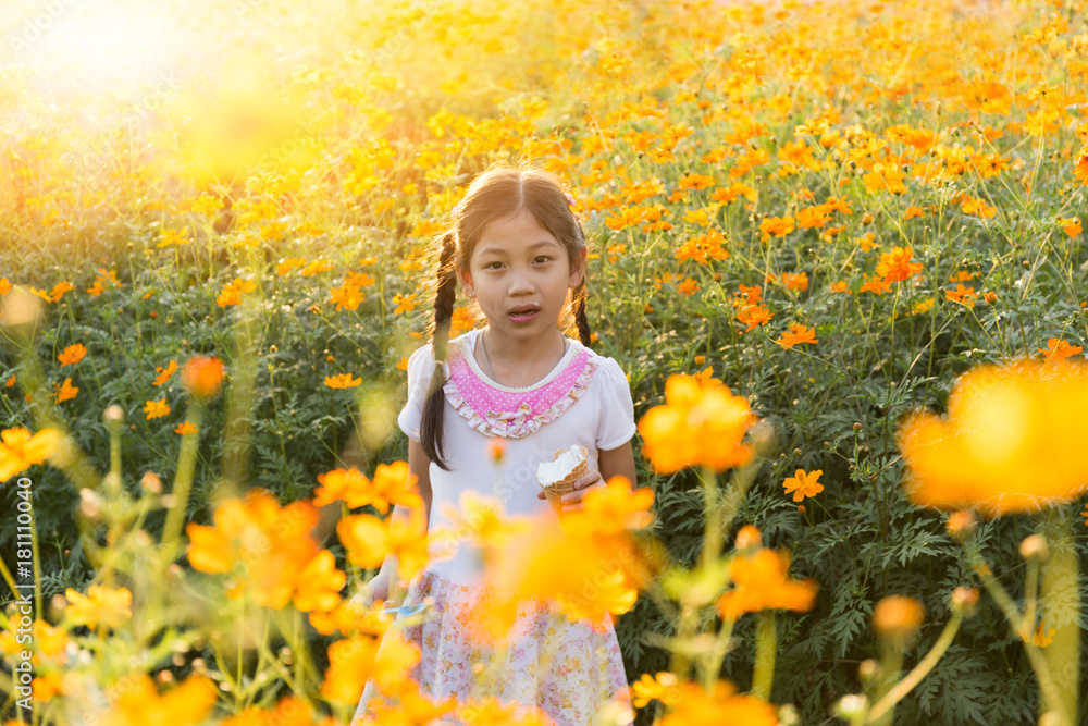 Sunlight The little girl in the field of cosmos yellow flowers at sunlight in the morning Sunlight The little girl in the field of cosmos yellow flowers at sunlight in the morning