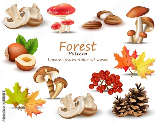 Forest theme set with mushrooms, nuts, leaves, pinecone Vector
