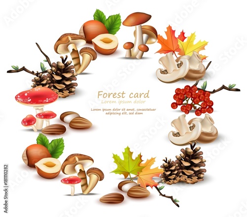Forest wreath with mushrooms, nuts, leaves, pinecone Vector. Autumn backgrounds