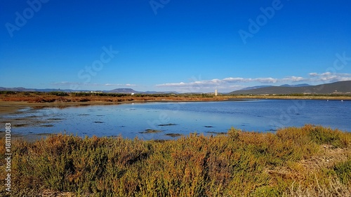 Pond in autumn in a sunny day