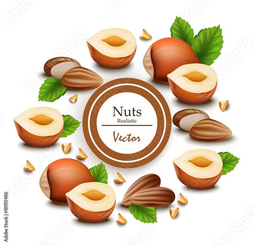 Nuts Realistic Vector. Template label designs