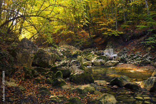 Fototapeta Naklejka Na Ścianę i Meble -  autumn landscape on the mountain river Kokkozka, clear water and colorful leaves, a fantastic natural picture